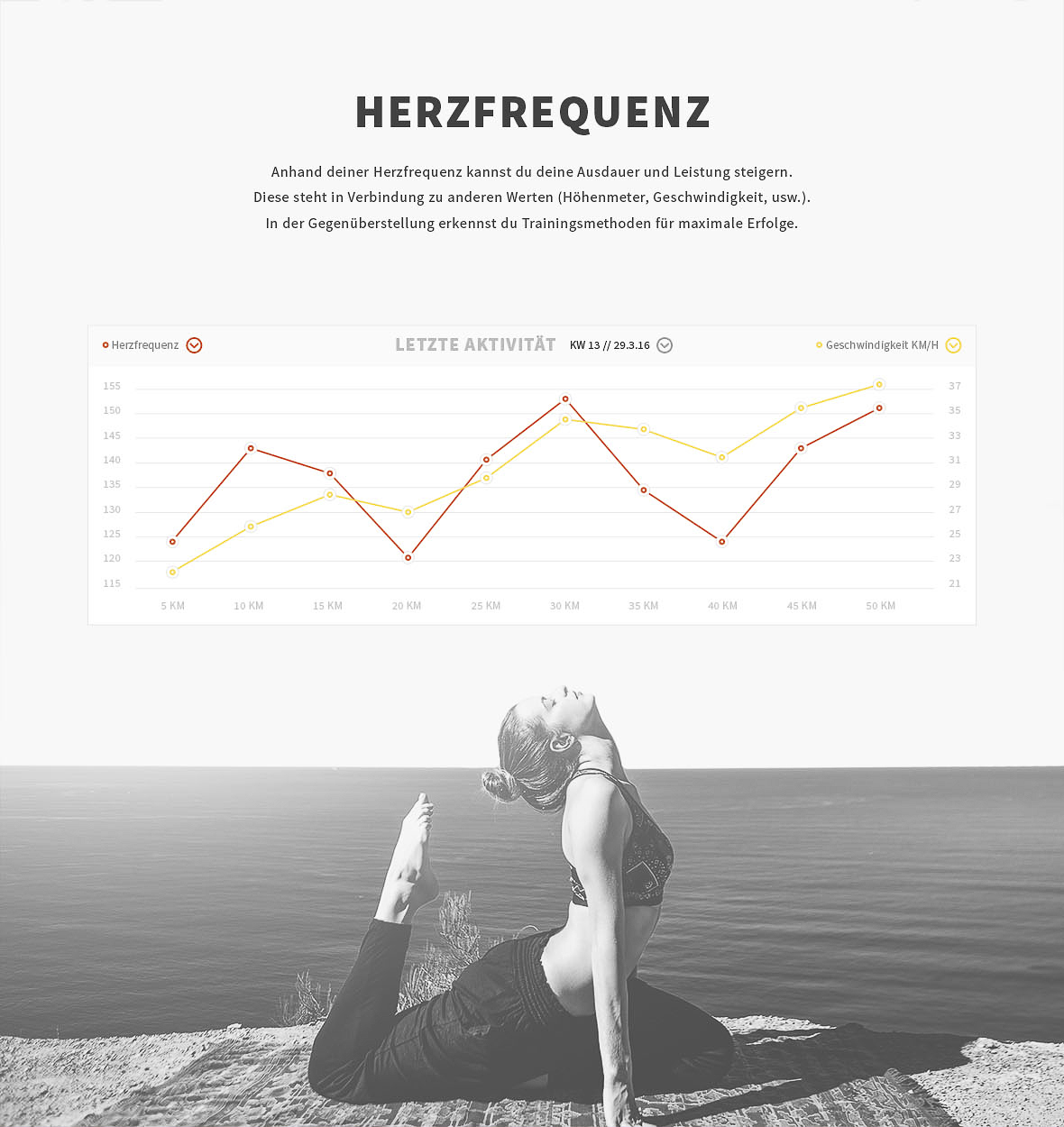 herzfrequenz_dashboard